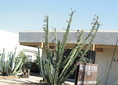 Centro de Ayuda